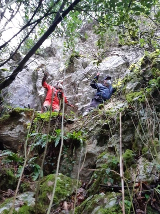 Erralla kobazulora bisita