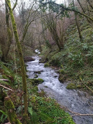 Erralla kobazulora bisita