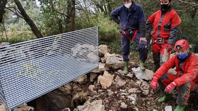 Hartzaren atzaparkadak aurkitu dituzte Atsoagureta kobazuloan featured image