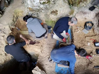 Amalda III kobazuloa