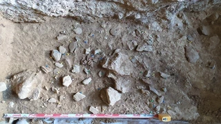 Amalda III kobazuloa