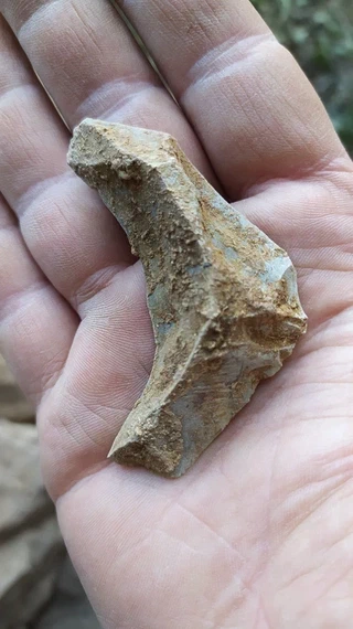 Amalda III kobazuloa