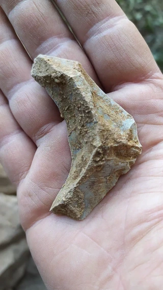 Amalda III kobazuloa