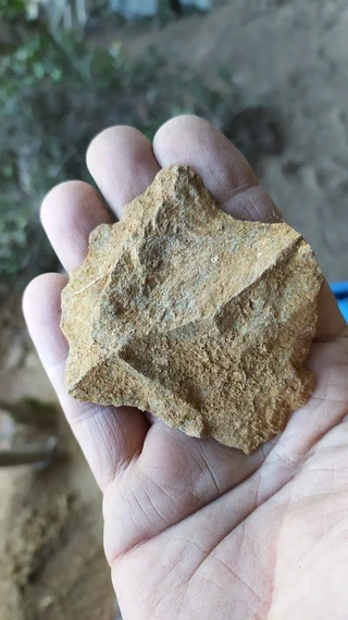 Amalda III kobazuloa