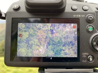 Amalda III kobazuloa