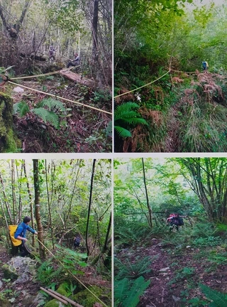 Amalda III kobazuloa