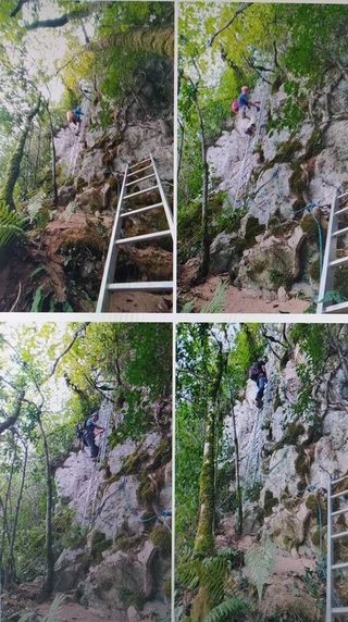 Amalda III kobazuloa