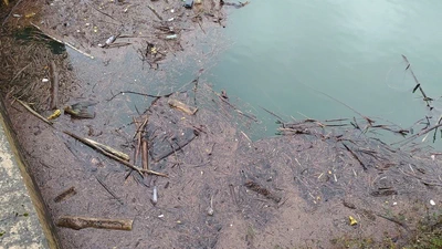 Ibai Eder urtegira zientoka plastiko jaurtitzen dira featured image