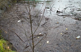 Ibai Eder urtegira zientoka plastiko jaurtitzen dira