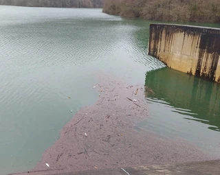 Ibai Eder urtegira zientoka plastiko jaurtitzen dira