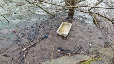 Mikroplastikoen arazoa featured image