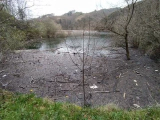 Mikroplastikoen arazoa