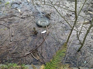 Mikroplastikoen arazoa