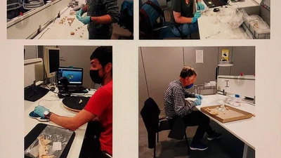 Urola bailarako biodibertsitatea prehistoria zaharrean featured image