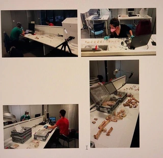 Zestoako Baio koban aurkitutako materialak