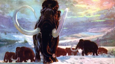 URTIAGAKO LEIZEA - Itziar - 1981/2022 featured image