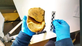 Urtiagako Leizea - Itziar - 1981/2022