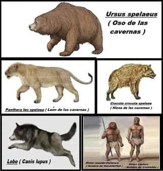Urtiagako Leizea - Itziar - 1981/2022