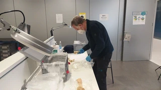 Urtiagako Leizea - Itziar - 1981/2022