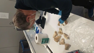 Urtiagako Leizea - Itziar - 1981/2022