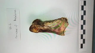 Urtiagako Leizea - Itziar - 1981/2022