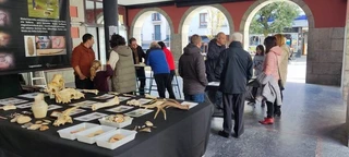 Azokarekin bukatu da 2023ko Zestoako Arkelogia Astea