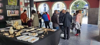 Azokarekin bukatu da 2023ko Zestoako Arkelogia Astea