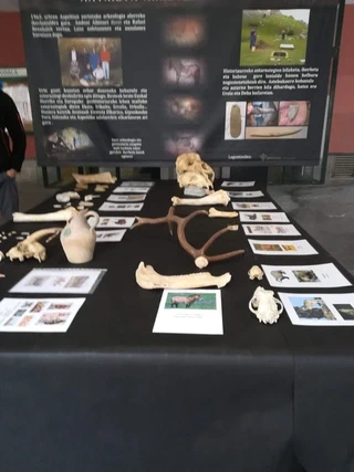 Etzi, azaroak 26 osteguna azoka Zestoako Arkeologi astean.