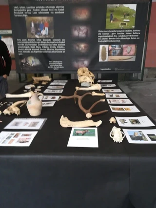 Etzi, azaroak 26 osteguna azoka Zestoako Arkeologi astean.