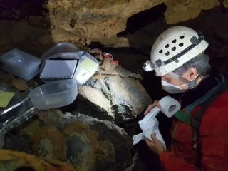 Zestoako altxorrak azaleratzen