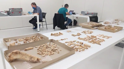 Zestoako Baio kobazuloko aztarnategi arkeologikoa featured image