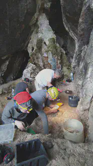 Amalda III kobazuloa