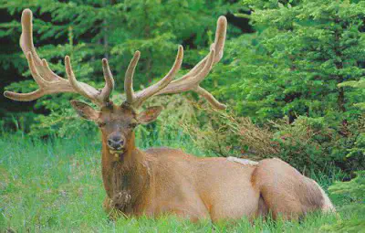 Amalda III haitzuloan 2023ko landa lan nagusiak, bukatuta