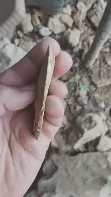 Amalda III haitzuloan 2023ko landa lan nagusiak, bukatuta