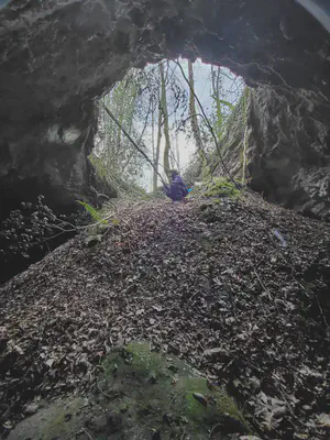 Kobalotx