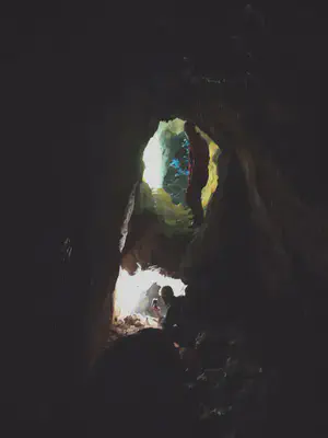 Kobalotx