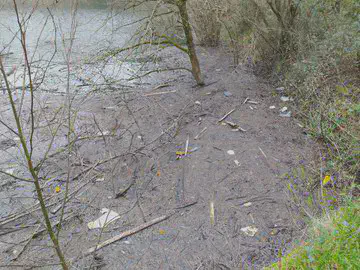 Mikroplastikoen arazoa