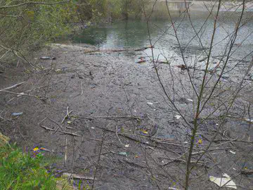Mikroplastikoen arazoa