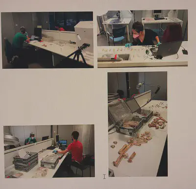 Zestoako Baio koban aurkitutako materialak