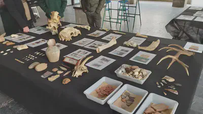 Azokarekin bukatu da 2023ko Zestoako Arkelogia Astea