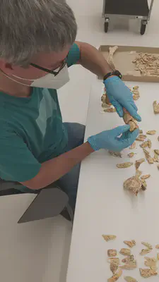 Gordailua