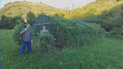 Zestoako Irikaitz Goi eta Behe Paleolitoko aire zabaleko aztarnategia garbitzen