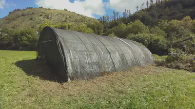 Zestoako Irikaitz Goi eta Behe Paleolitoko aire zabaleko aztarnategia garbitzen