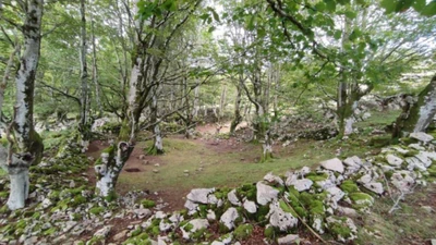 IZARRAITZ 2021 Indusketak Laburpena featured image