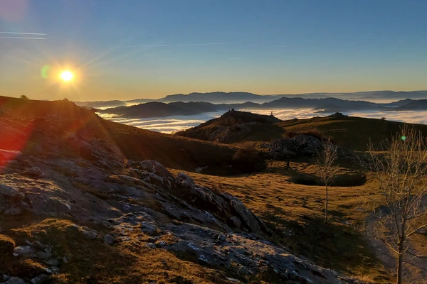 IZARRAITZ Proiektu Orokorra