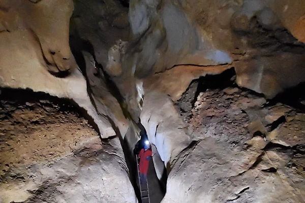 Miaketak 2021 Laburpena