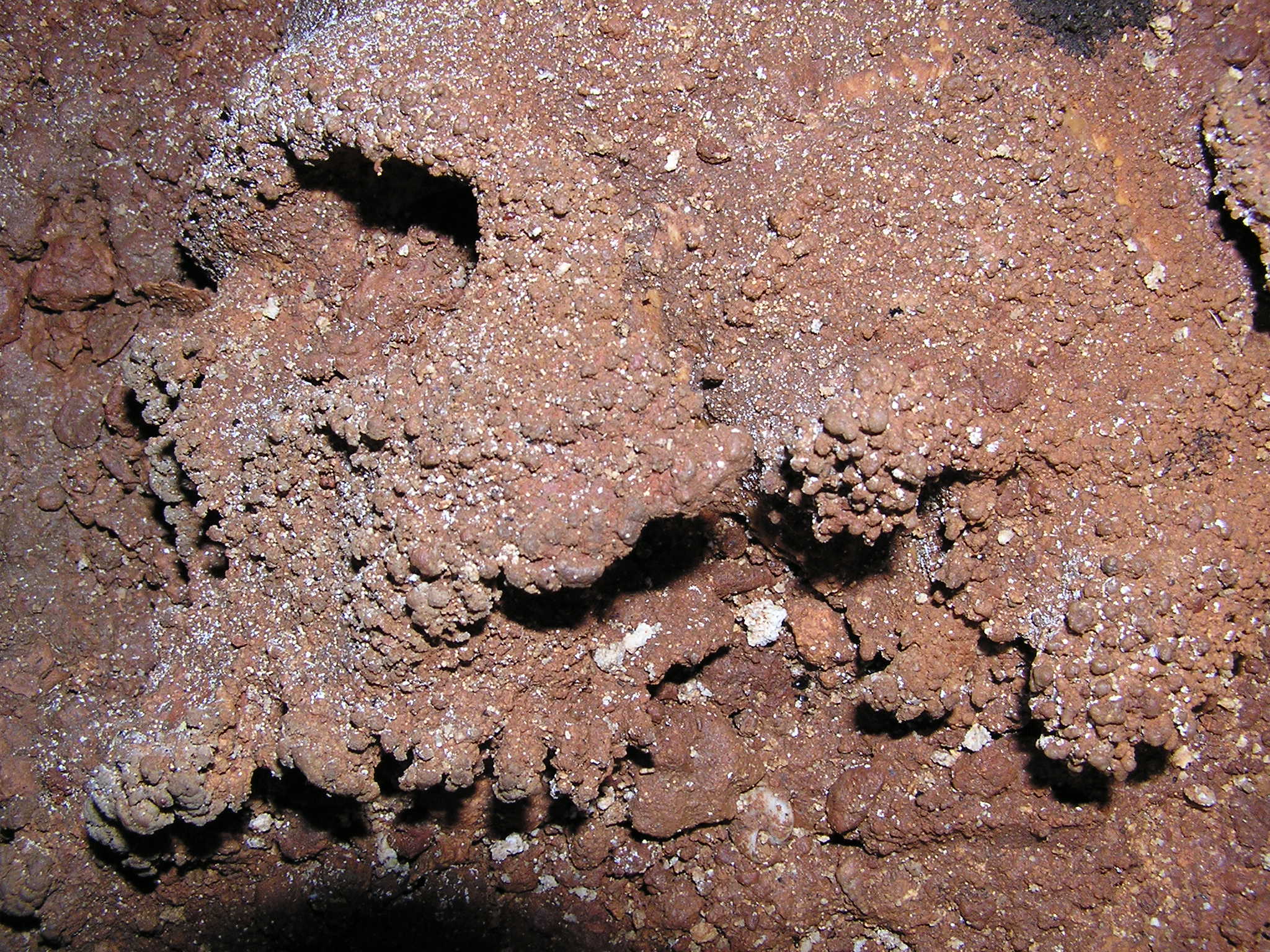 Taldearen eta proiektuaren bermatzea